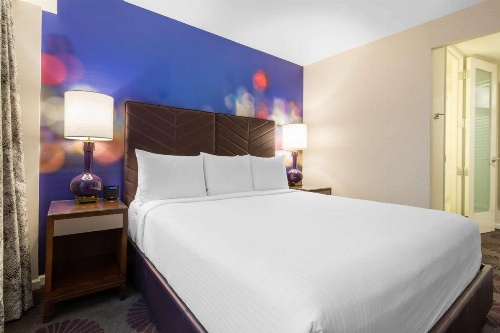 The Chicago Hotel Collection Magnificent Mile image 30