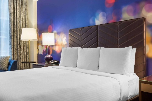 The Chicago Hotel Collection Magnificent Mile image 36